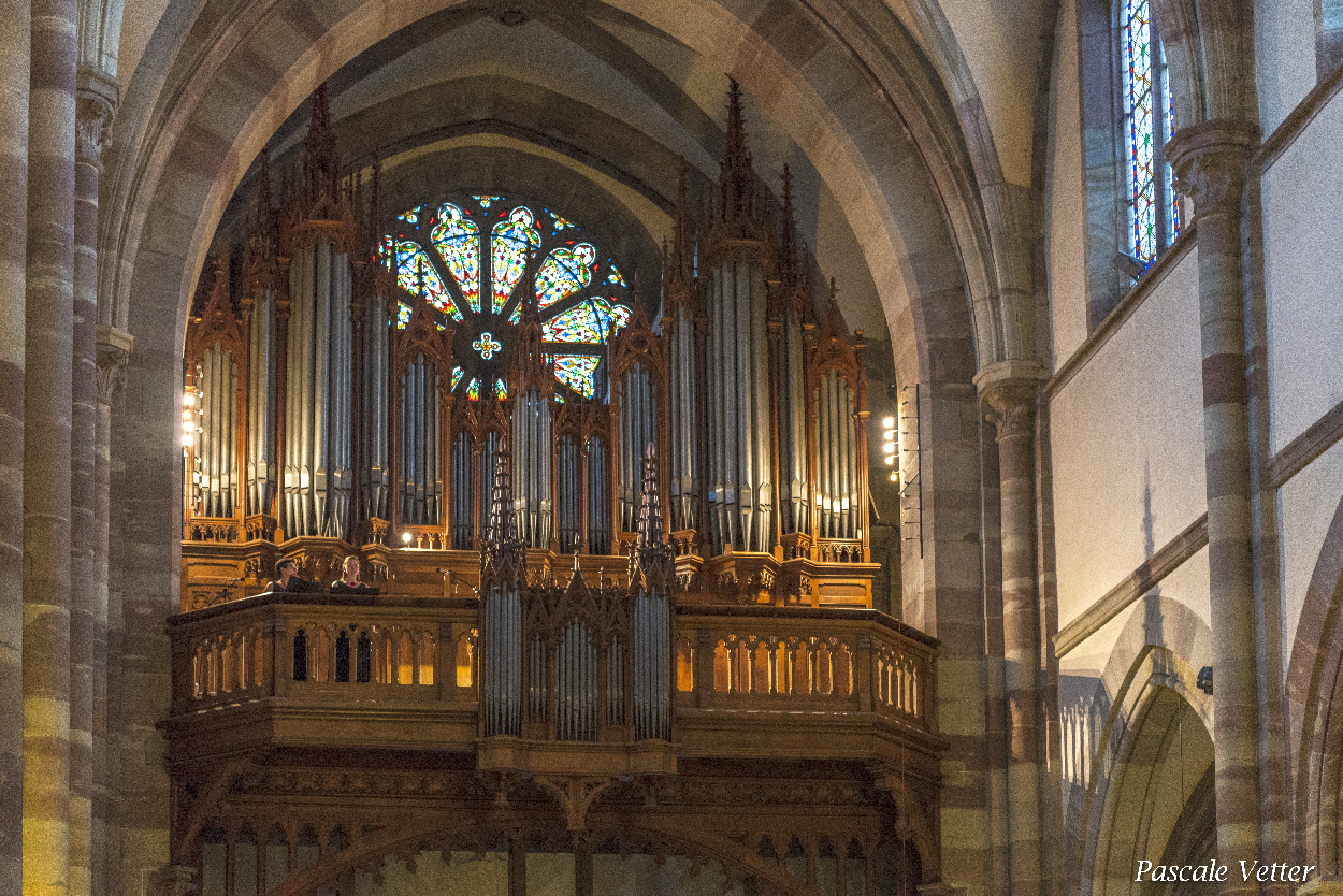 cantatrices à la tribune
