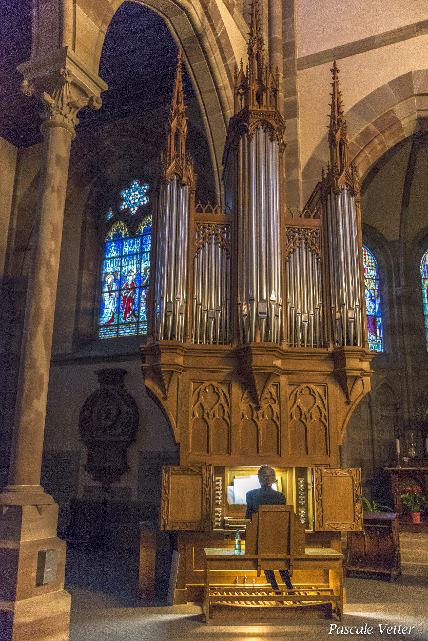 Vue sur l'orgue Koenig