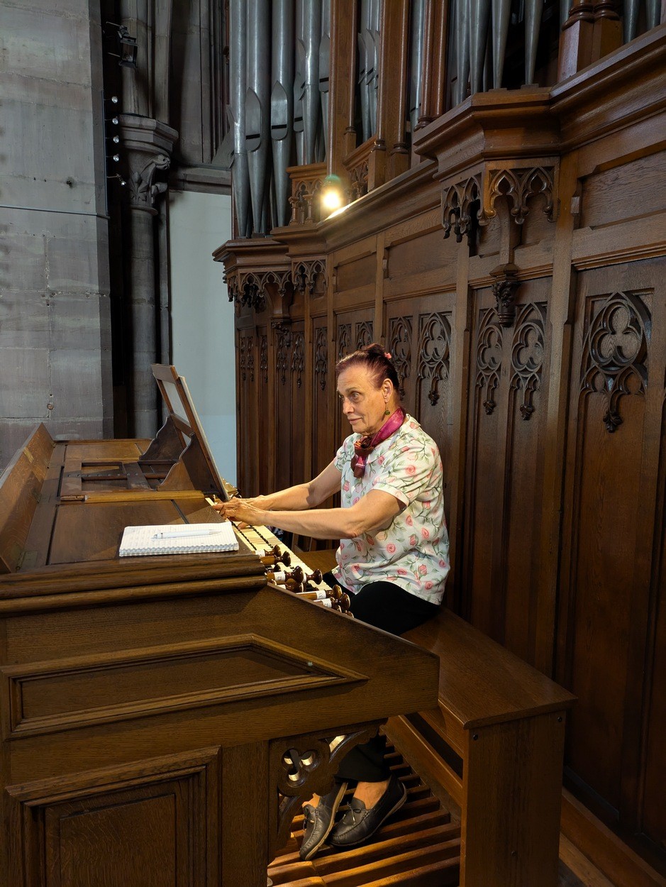 E. Gerthoffert : en place