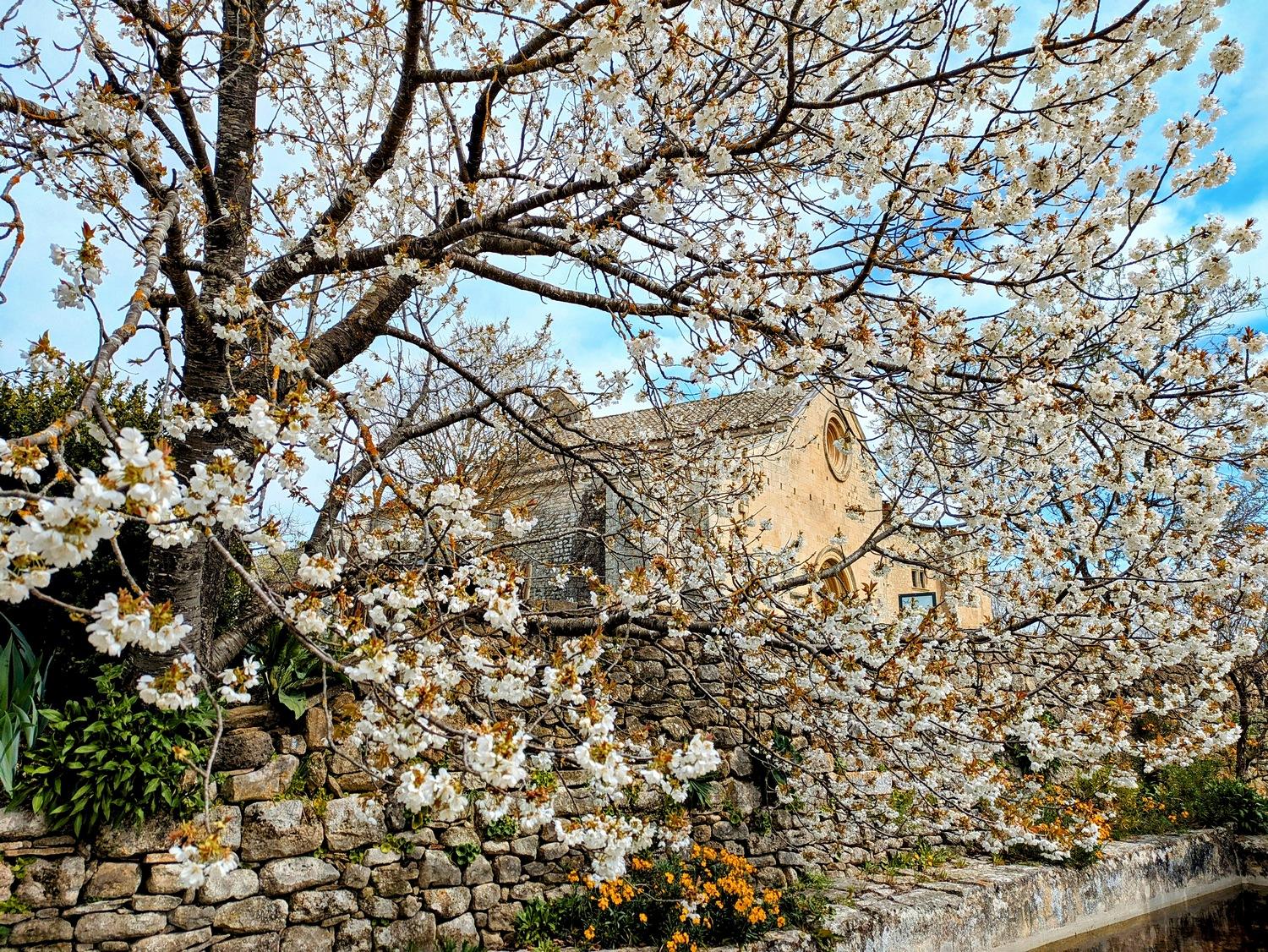 La promesse des fleurs